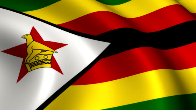 Zim needs people-driven transitional authority – DailyNews