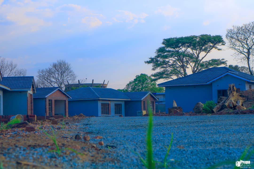 Homelink Linking the Diaspora, enabling business and building homes